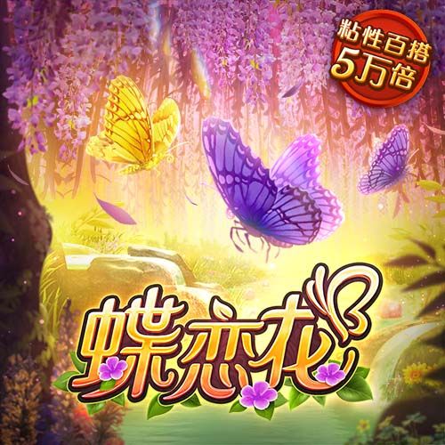 阿斯：什琴斯尼&霍安