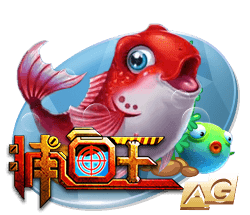TA：23岁布莱顿后卫埃兰